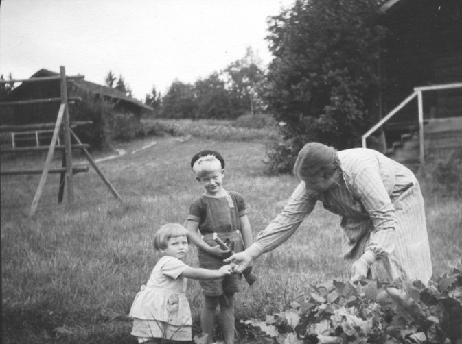 Birgit, Svante och mamma Olga Ekholm skördar köksträdgården, 1935.